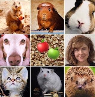 The Benefits of Fiber for Pets AND People