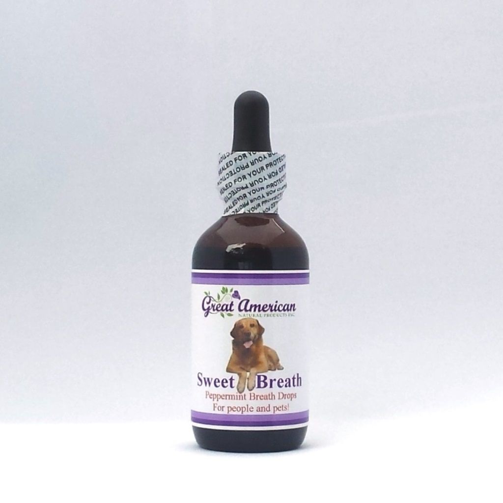 All Natural Chlorophyll Breath Drops for Pets - and People!