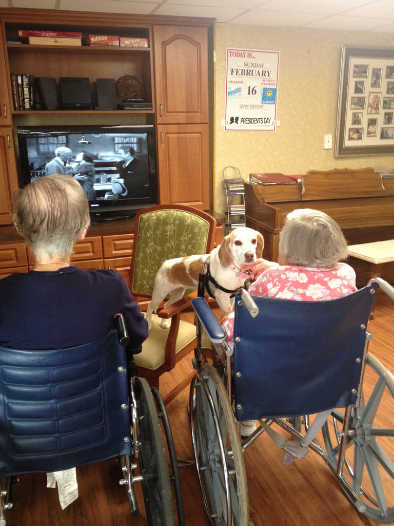 Giving Back Through Pet Therapy