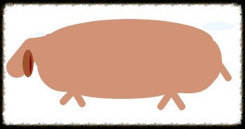 Manage & Mantain Your Pet's Weight