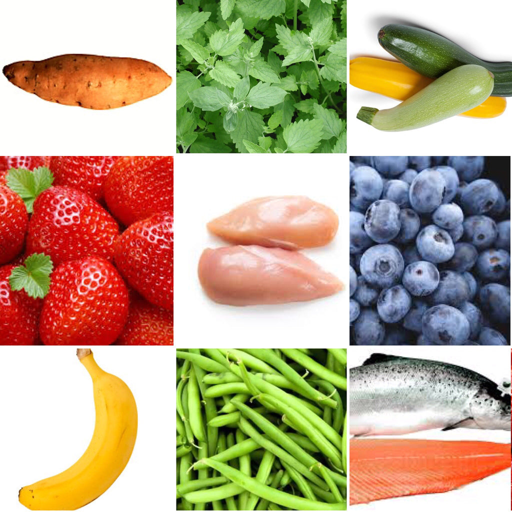 Healthy Pet Nutrition Becoming Top Priority