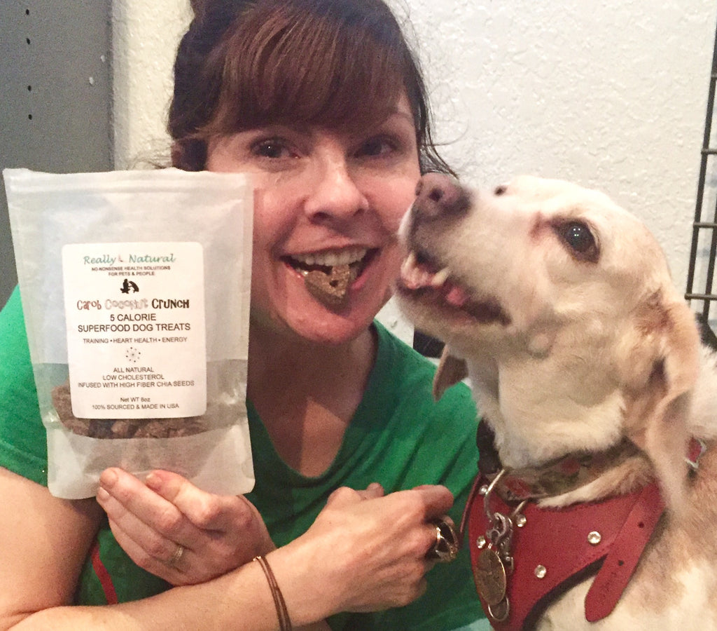 Can You Eat Your Dog's Treats?