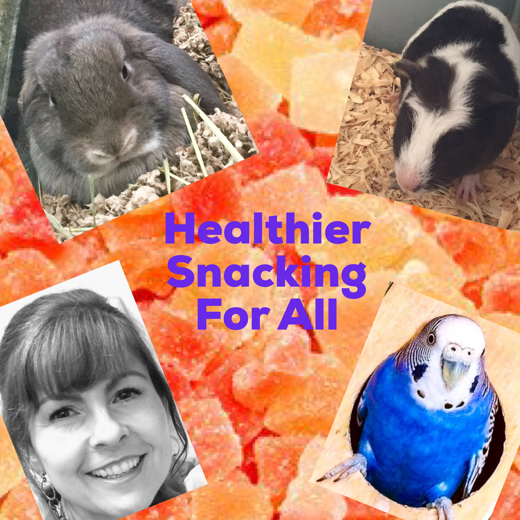 Healthier, Smarter Snacks for Birds, Small Animals - and YOU!