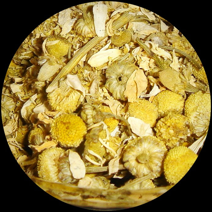 Chamomile for Dog Skin, Anxiety and Irritable Bowel Disease