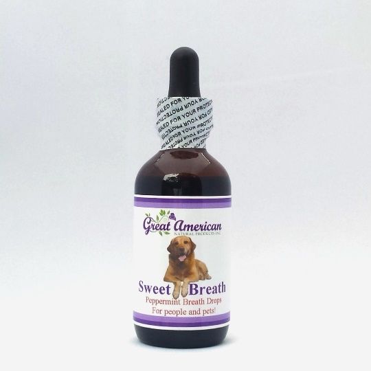 All Natural Chlorophyll Breath Drops for Pets - and People!