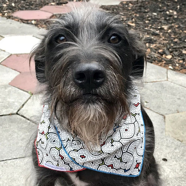 Bandana for Pets & People - Shipibo "Selva" Design 